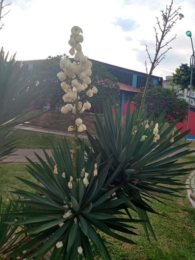 Apartamento Mobiliado 10 Minutos Da Praia Do Forte Cabo Frio Eksteriør billede